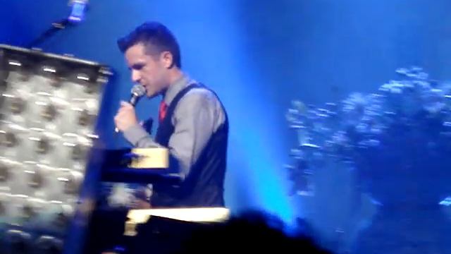 The Killers  - Neon Tiger