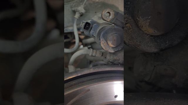 Lexus Driven By Performance