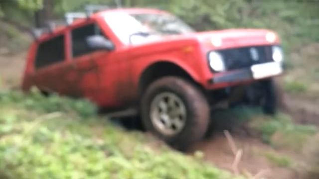 Месяц май 2017г.