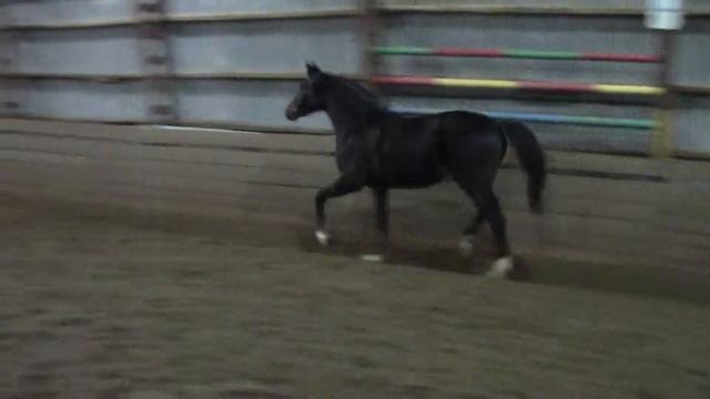 Олимп 2015 ХКЗ