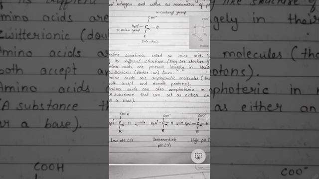 What Are Amino Acids...with Notes..and Important Points ..important For Bsc Msc And Net Preparation