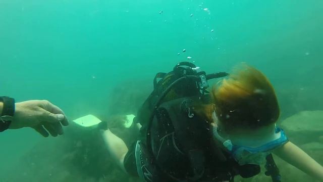 Черное море-погружение_продолжение