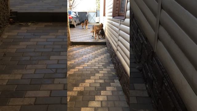 Выходной и хорошая погода 03.12.2023