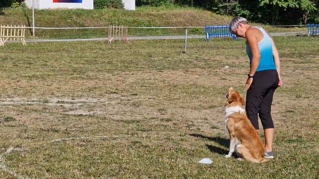 Феникс двойка 252,5 балла