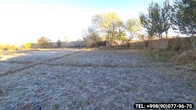 16ea194abd6138fb7e55ffa241146497