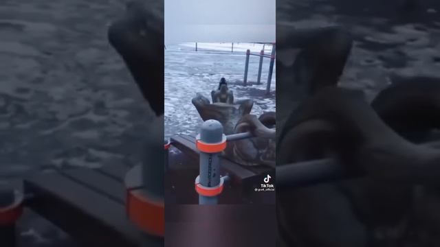Волк не тот кто волк а тот кто волк