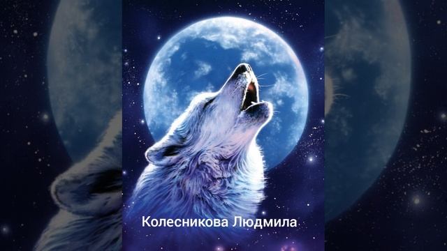 серые волки.