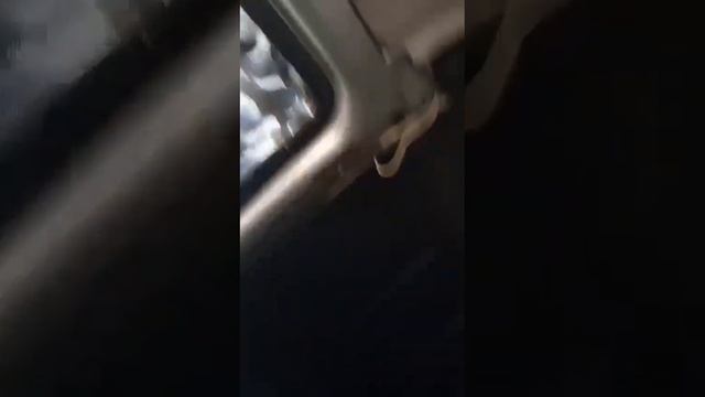 Yeti Сутки на броне