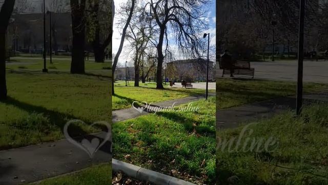 Луганск ноябрь 2023