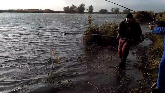 Кульба, ловля карпа, Глубокий
