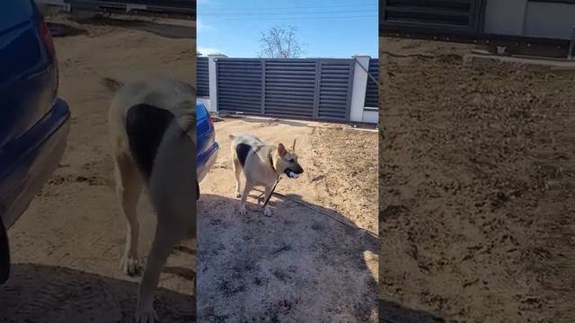 10dd1e9fb30386129ef058787e72eacb