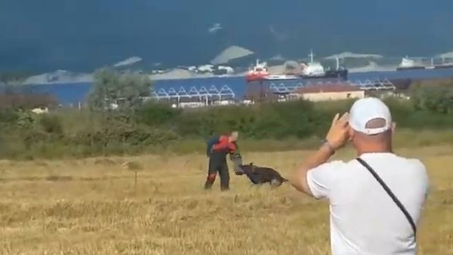 Уран Кинополь   лобовая КОКР СЮР 2018