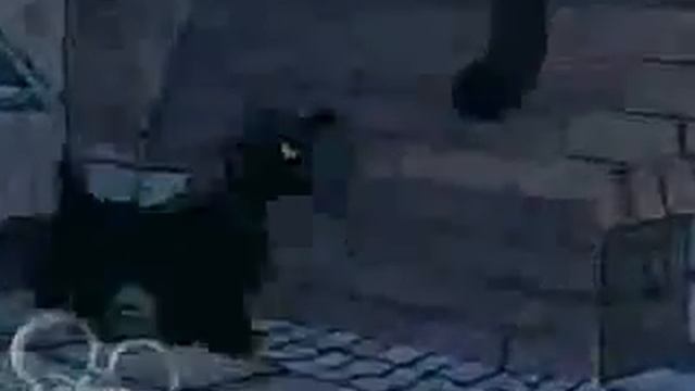 Selena Gomez- Cruella De Vil (Official Music Video)