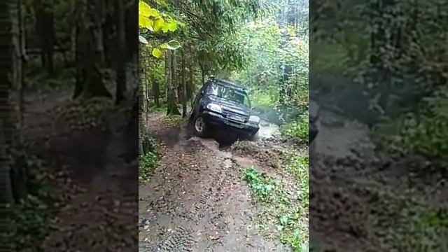 Нежданчик...
Нива, Менделеево, Прогулка