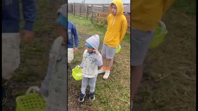 Страусиная ферма с птицами-великанами и милыми домашними животными идеальное место для отдыха.