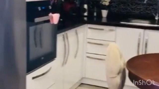 Пентхаус Махмутлар 1я линия на продажу часть 1