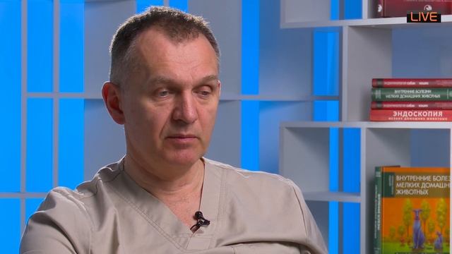 Как лечить диско спондилит много случаев консультация через интернет