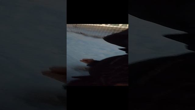 667b6dcb871a90e2aed18d68e3c7e88b