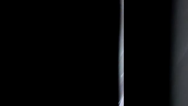 моё домашнее животное