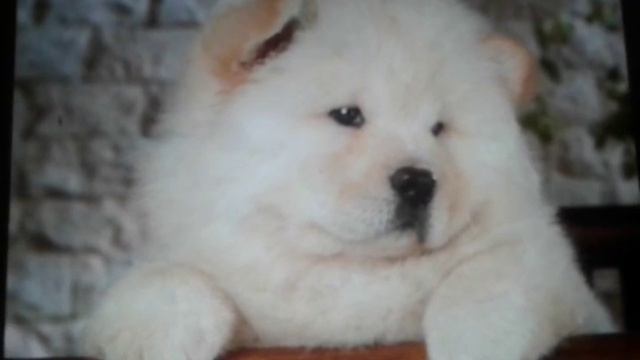 Cbc8a8447592547b96874d67c33b629e