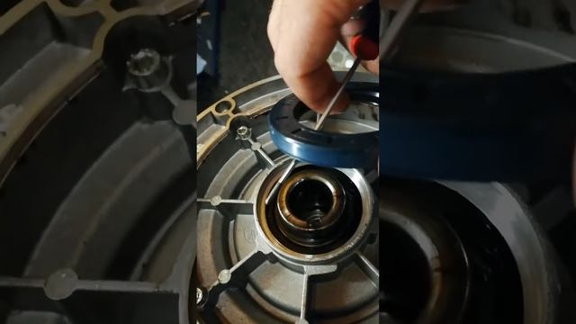 Yağ Kecesi Nasıl Değiştirilir