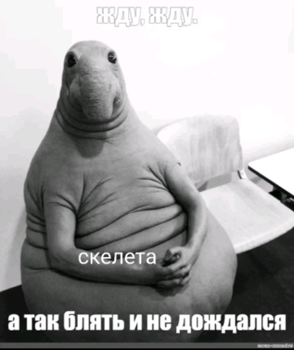 рдмдр