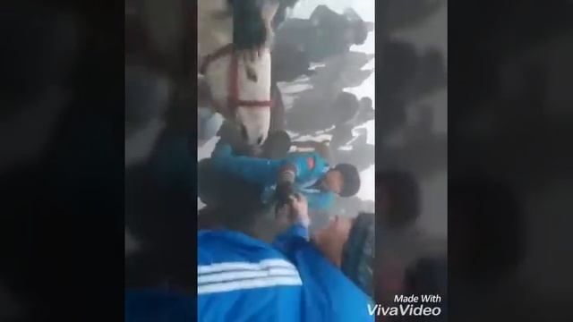 Кок бору Тельман