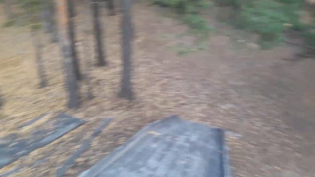 ВремяВлога 🌲 7 дней в Боровом 🌲 В поисках памятников