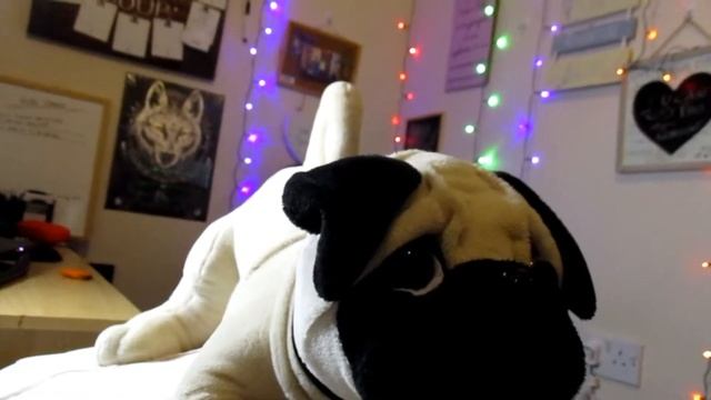 Real Life Vlogger: My Strange Sense Of Humour If You Can Call It That