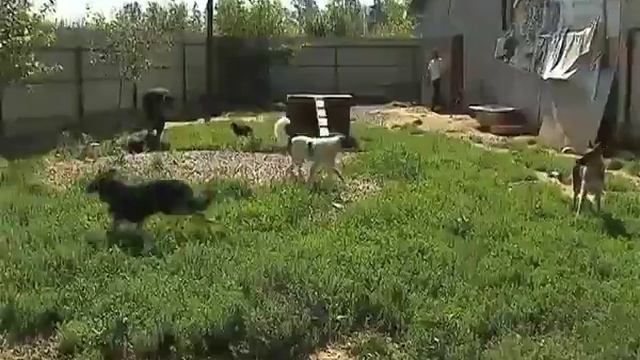 284e018985cb0a96f9c4e98942b0cbe5