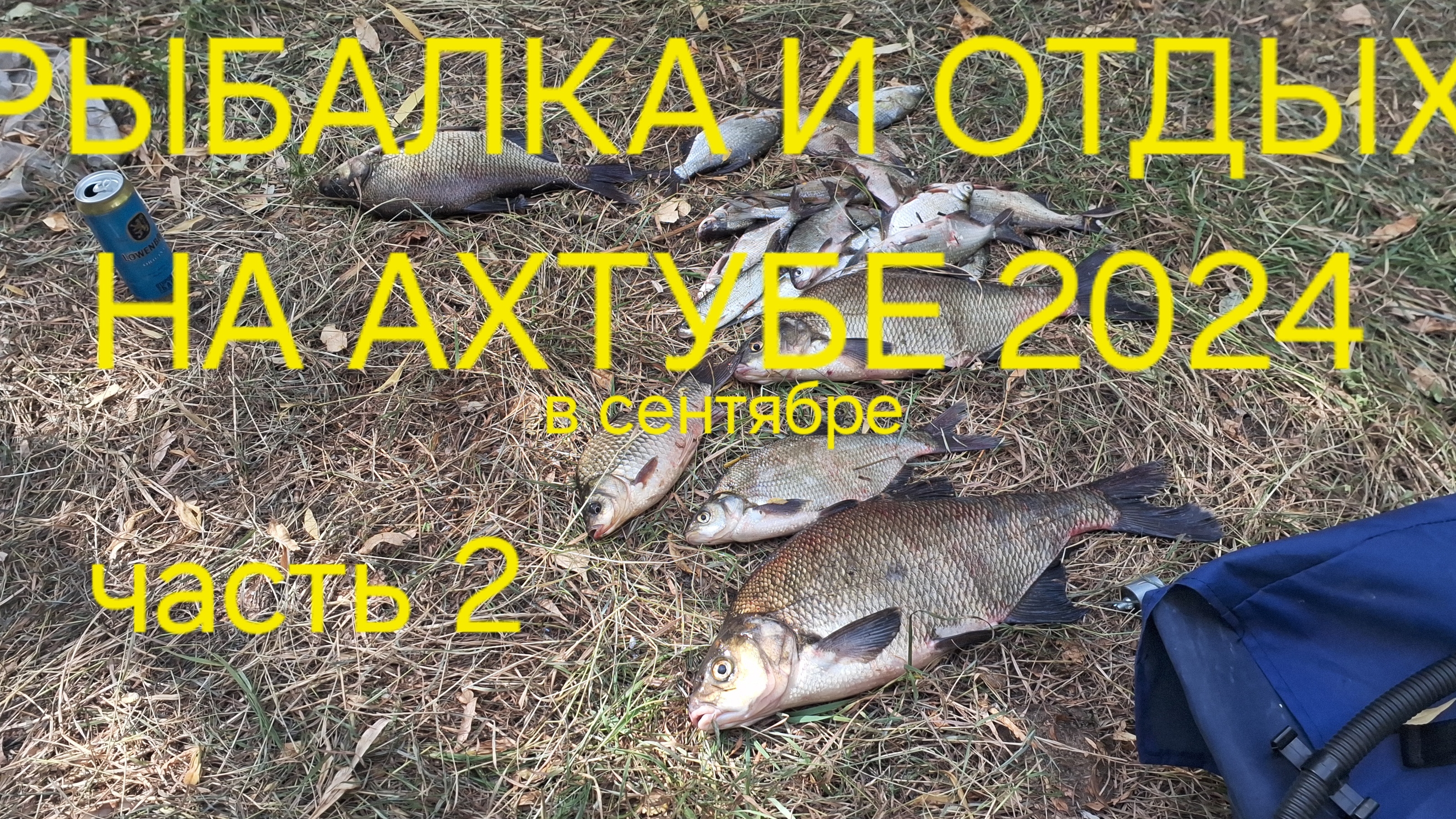 34e1a3a089599088298139b349b04913