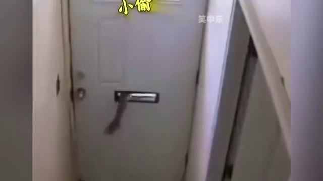 Funny Stories(A Little Shocking)