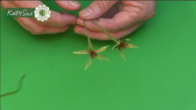 2793b18669e5613bf687583e7f54e812