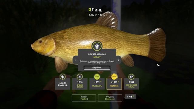 24632dc59ffe4f4c8ecccc6601e6a914