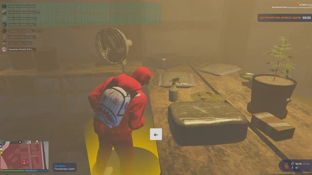 Собака сутулая