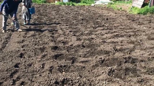 Eac4423b7e4ebecaad6039430533fe09