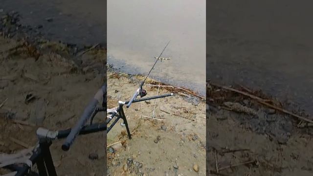 когда клюёт, ничего не е...т !