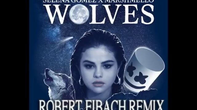 Selena Gomez X Marshmello- Wolves (Robert Eibach REmix) Club Mix