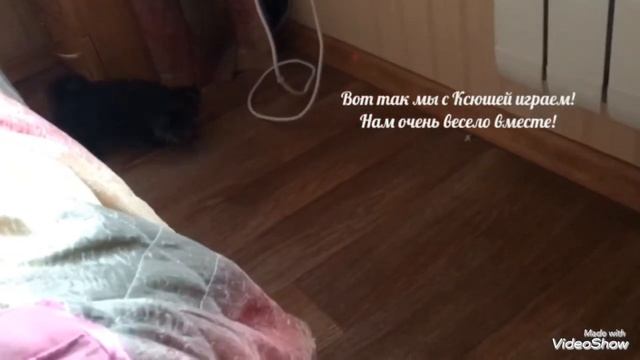 У меня появилась собака !!!