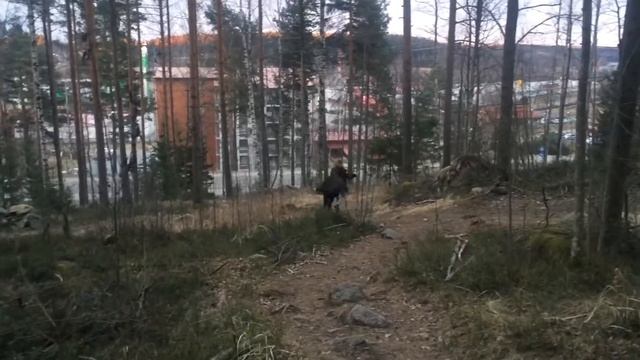 Учеба за границей, прощай Финляндия?