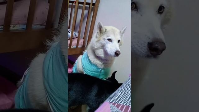 A5983cb6e4feb2b24e73e5dbf5674220