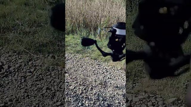 облавливаем приманки собственного производства