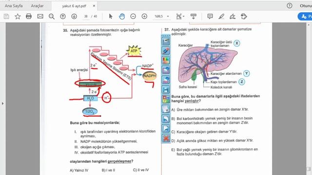 61ac6093a3411af5c2acea80bdcf5e58