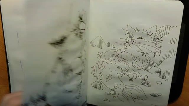 Листалка шарикового скетчбука