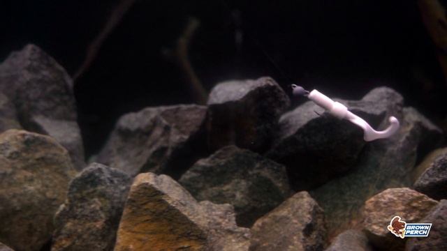 Rocksy Fly Brown Perch