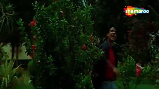 Kya Tumhe Pata Hai Ae Gulshan | Dil Hai Betaab (1999) | Udit Narayan | Alka Yagnik Hits | 90s Songs