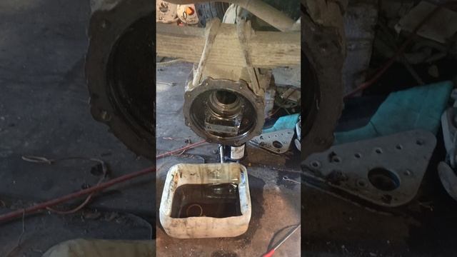 На СЕВЕРЕ НЕ ТАКАЯ УЖ ЖУТЬ