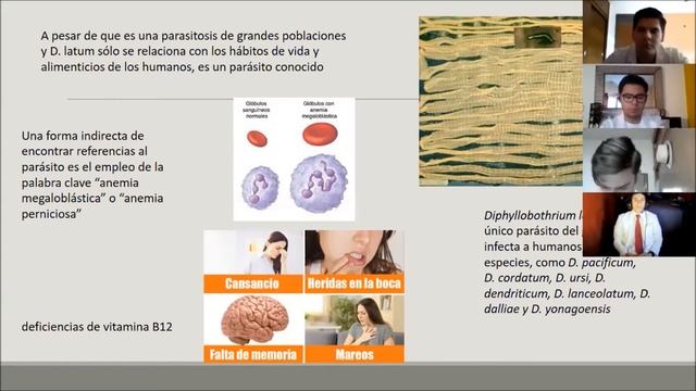 Difilobotriasis  Diphyllobothrium latum