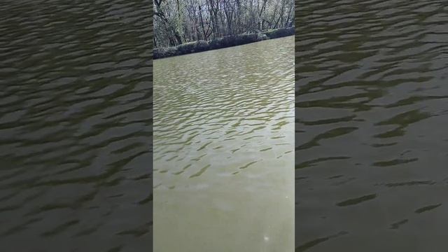 очередная вылазка на лодке