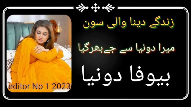 Zindgi Dini Walia Mira Duniya Se Ji Bhar Gya New Song 2023 HD Number 1 Editar Channel Super Hit Son